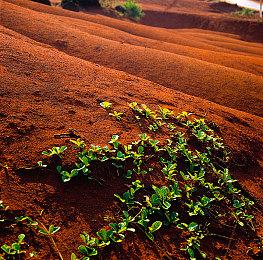 母女公路旅行小说《Open Road》明年2月发售